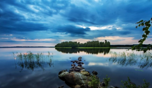 中国苗木资讯网官网下载地址在哪查找到,中国苗木资讯网官网下载地址在哪查找到